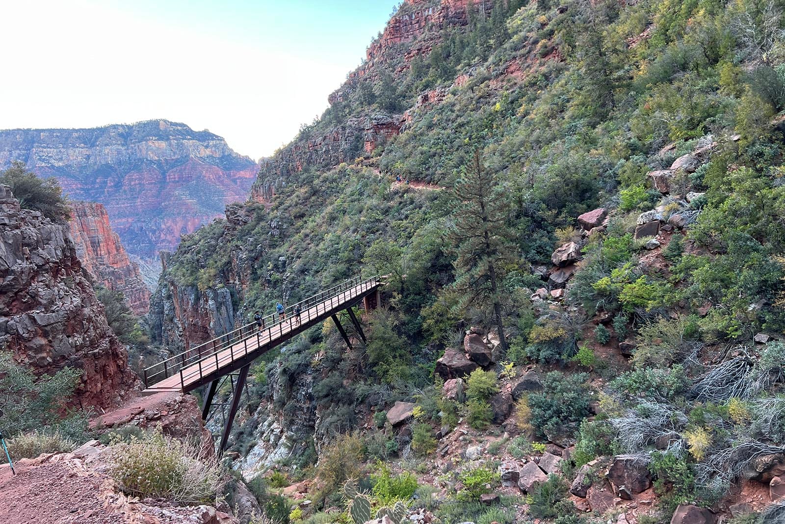 View from within the Grand Canyon