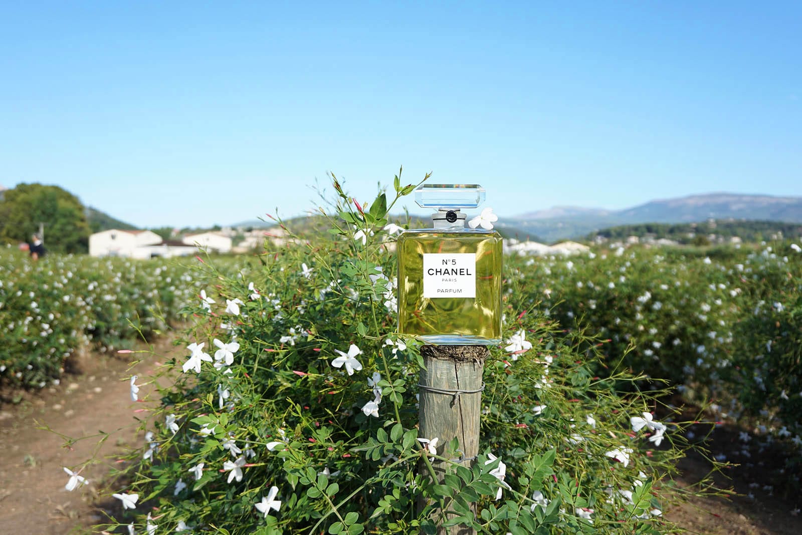 The Making of Chanel No. 5